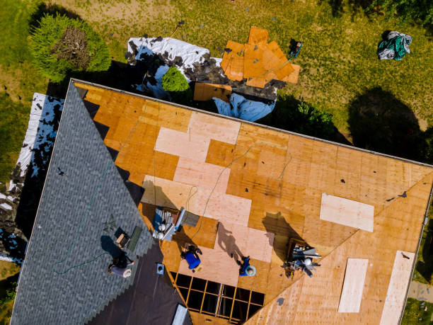 Best Roof Gutter Cleaning  in Gibsonburg, OH