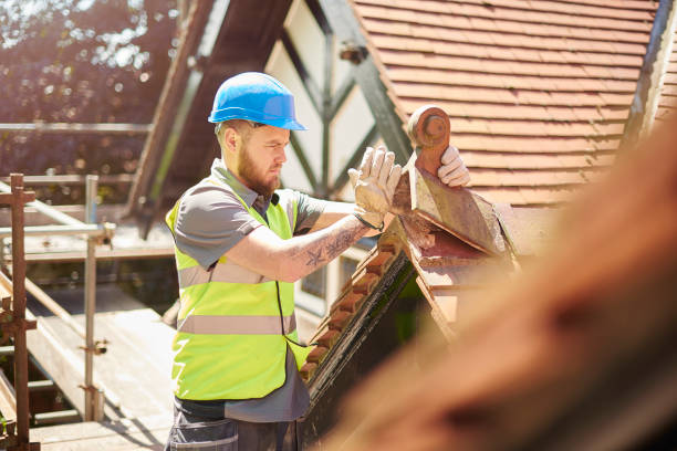 Best Roof Gutter Cleaning  in Gibsonburg, OH
